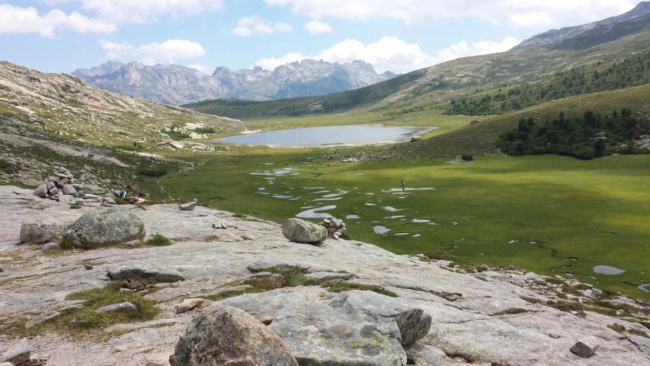 Appartement La Perle Du Valinco Propriano  Eksteriør bilde
